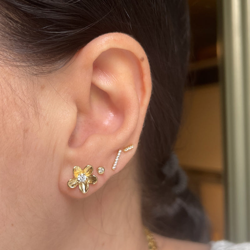 Armonia earrings